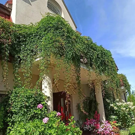 11 Debow Nadmorska * Дзвижино