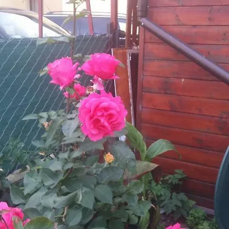 Проживание в семье 11 Debow Nadmorska Дзвижино