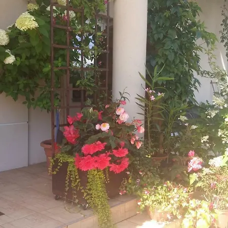 Проживание в семье 11 Debow Nadmorska