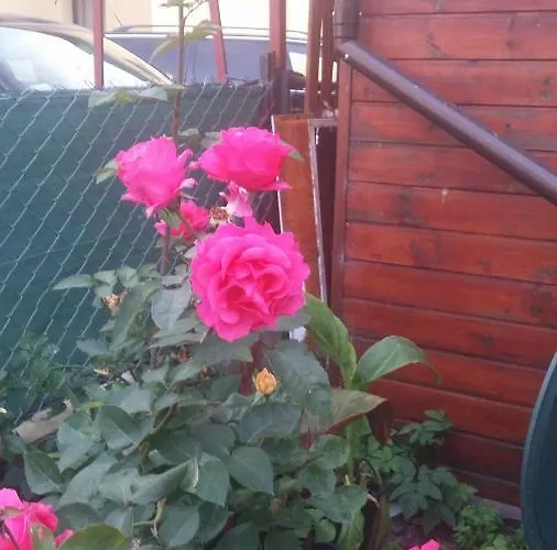 Δωμάτια σε οικογενειακή κατοικία 11 Debow Nadmorska Dźwirzyno