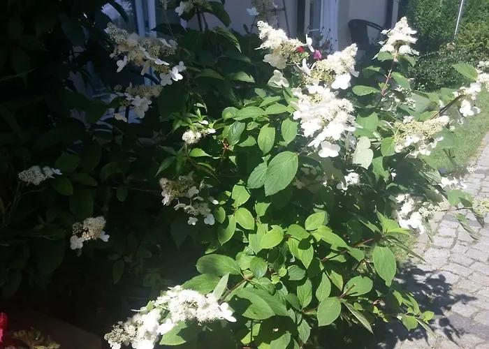 11 Debow Nadmorska Δωμάτια σε οικογενειακή κατοικία *